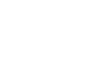 logo ST