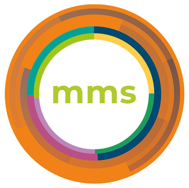 modulo Maintenance Management System 2EASY.platform